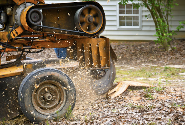 stump removal in Greenfield